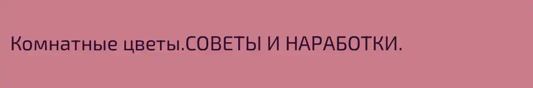 Комнатные цветы.СОВЕТЫ И НАРАБОТКИ.